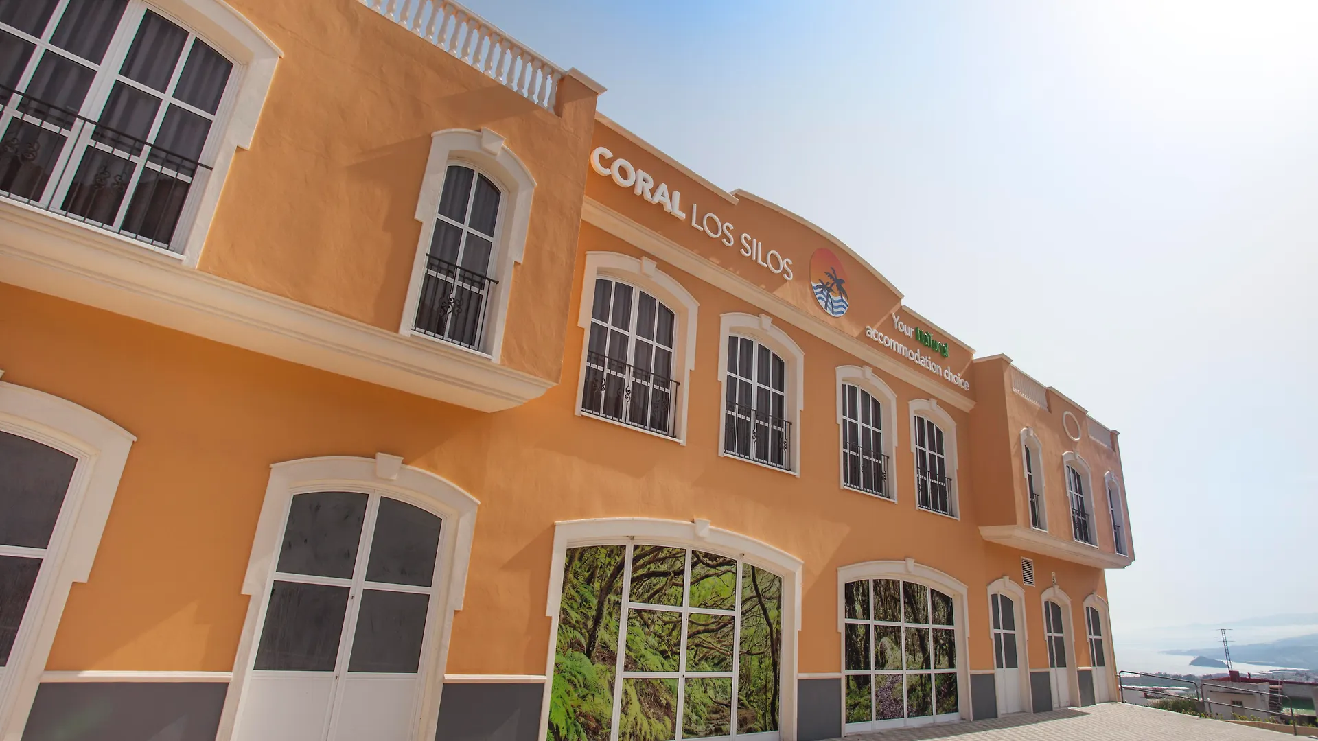 Coral Los Silos Spain